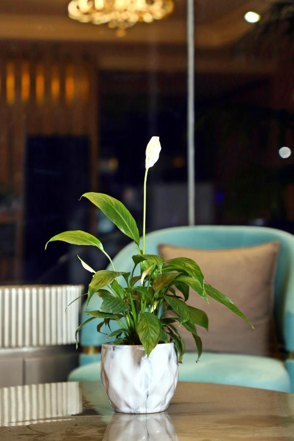 Blusalzz Residence Amritsar Luaran gambar